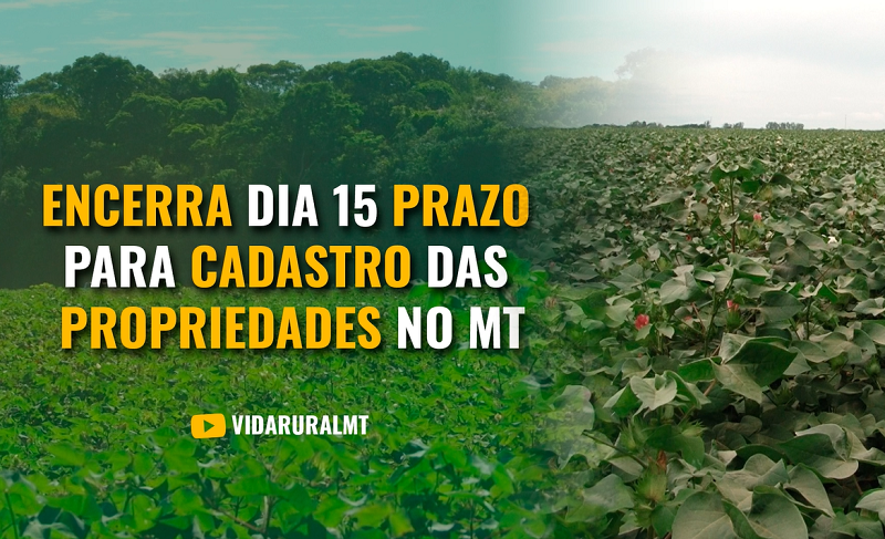 PRAZO PARA PRODUTORES CADASTRAREM ÁREAS DE ALGODÃO EM MT