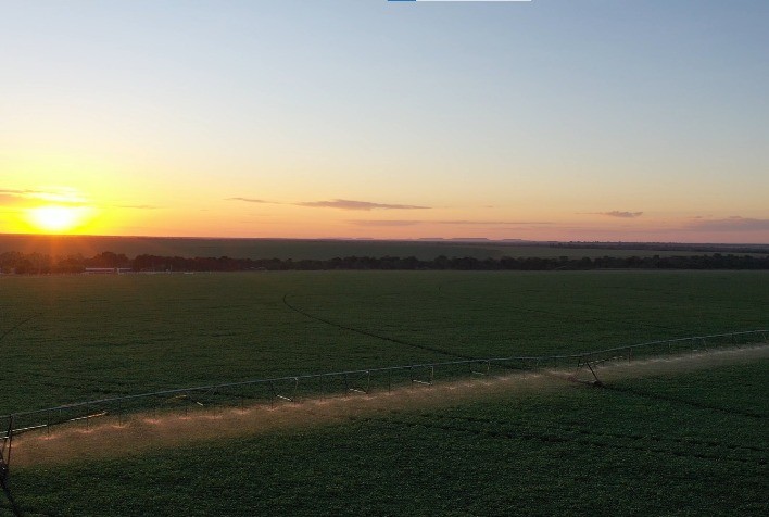 Expansão do Agronegócio: MATOPIBA e SEALBA Oferecem Oportunidades Promissoras no Norte e Nordeste