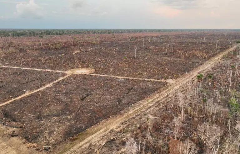 PF deflagra Operação Dracarys contra queimadas e desmatamento na Região Amazônica