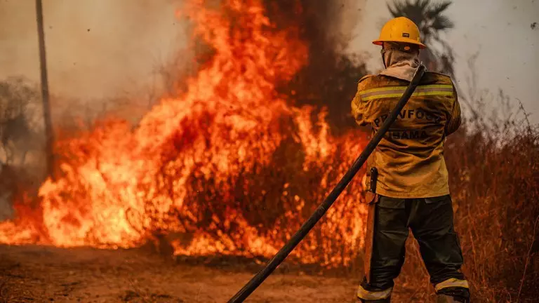 AGU cobra R$ 142 milhões de infratores por destruição de vegetação nativa