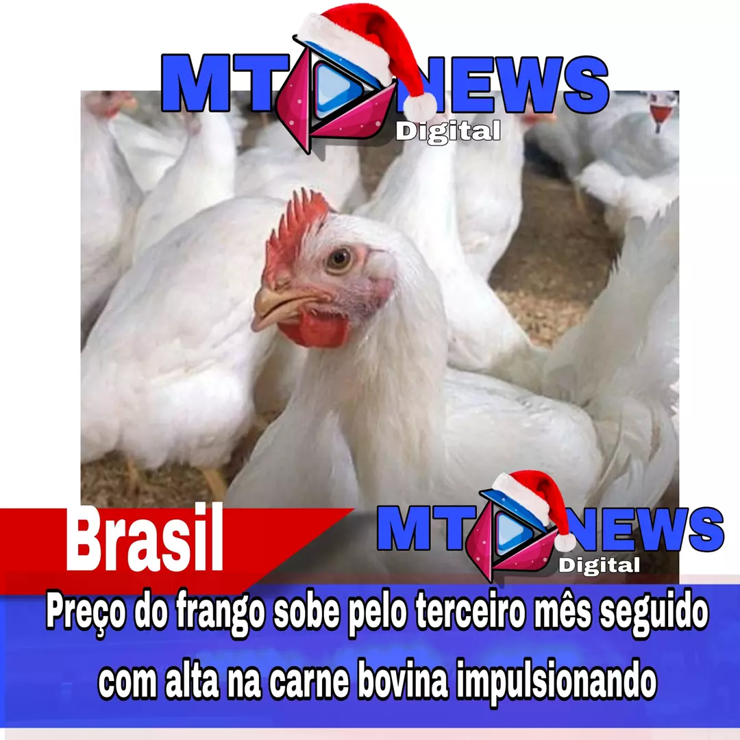 Preço do frango sobe pelo terceiro mês seguido com alta na carne bovina impulsionando demanda