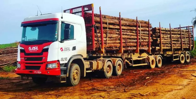 A foto mostra um bitrem da JSL transportando madeira