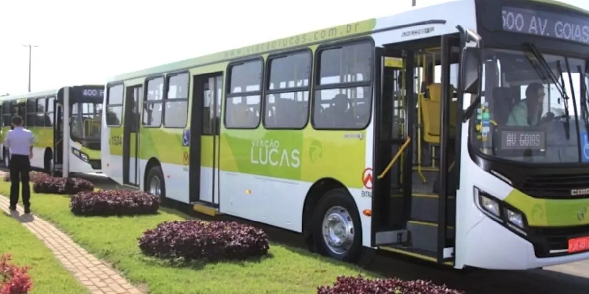 A foto mostra um ônibus verde da Viação Lucas