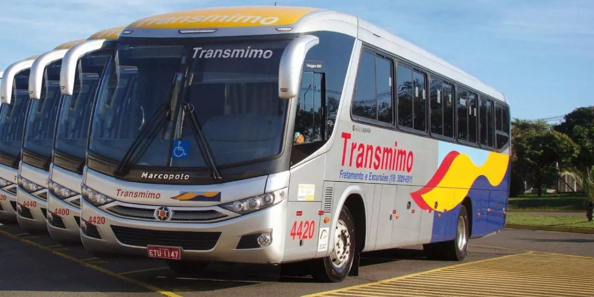 A foto mostra uma frota de ônibus da Transmimo