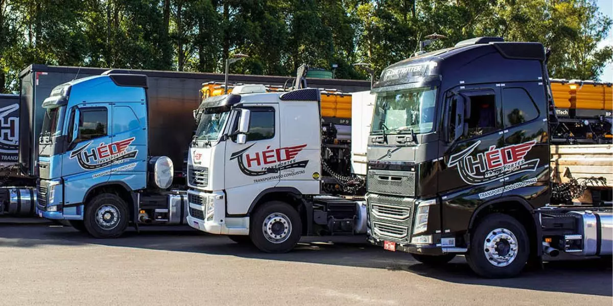 A foto mostra uma frota de caminhões da Theo Transportes