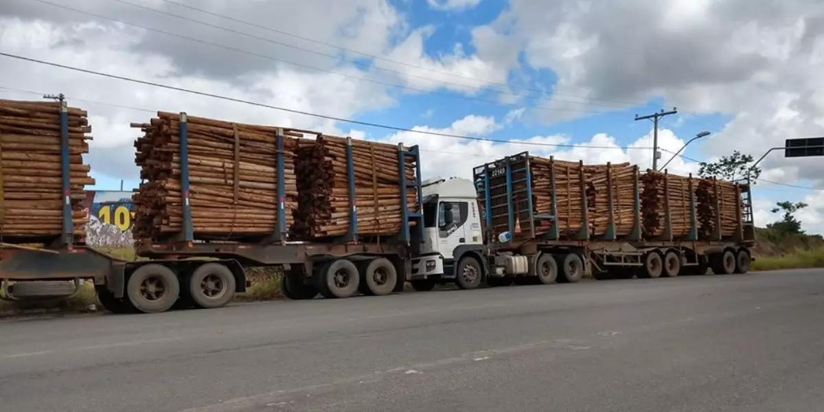 A foto mostra duas carretas da Veracel Celulose