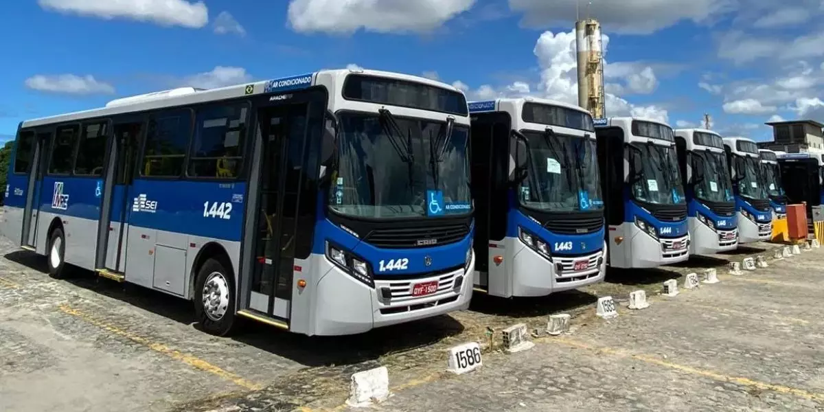 A foto mostra uma frota de ônibus da Itamaracá Transportes