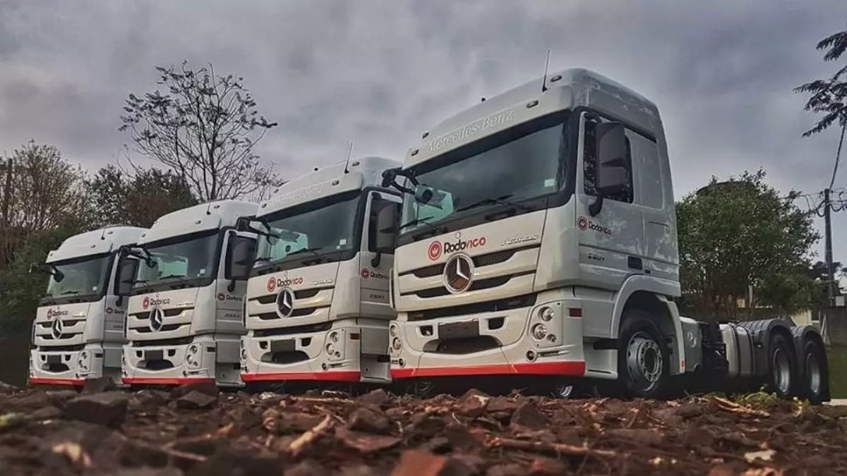 A foto mostra uma frota de caminhões da Rodovico Transportes