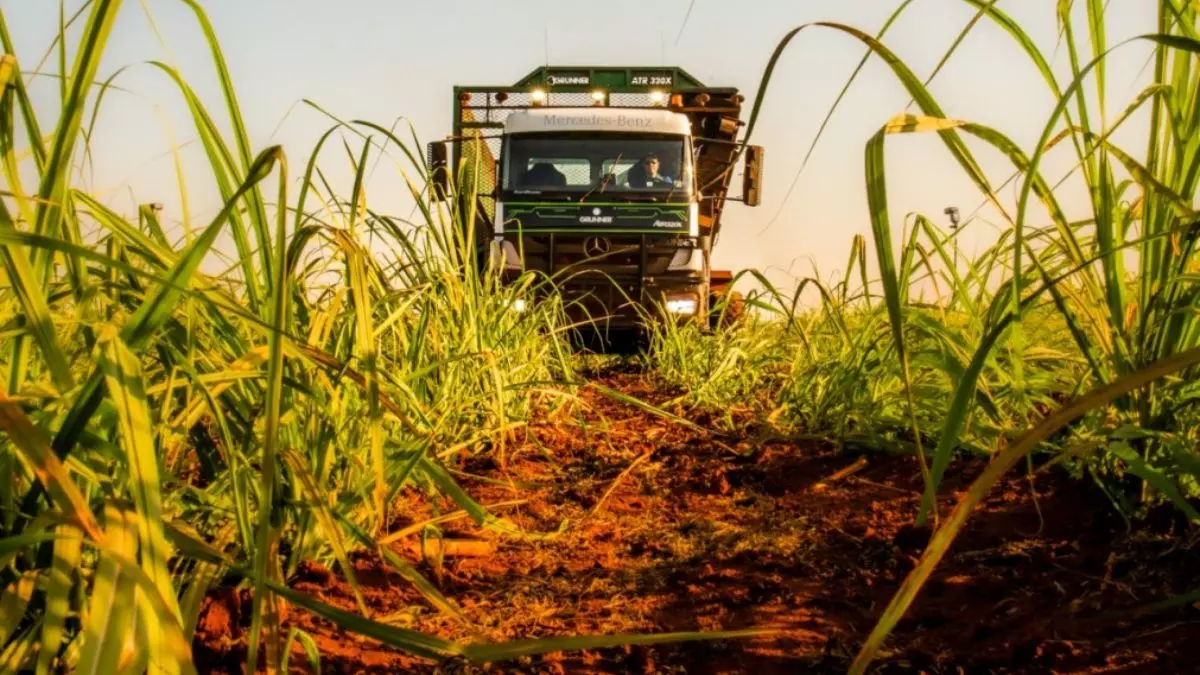 A foto mostra um caminhão da NovAmérica