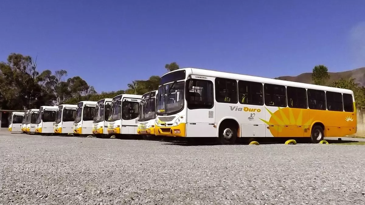 A foto mostra uma frota de ônibus da Via Ouro