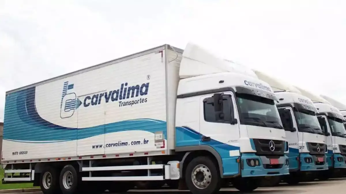 A foto mostra uma frota de caminhões truck da Carvalima