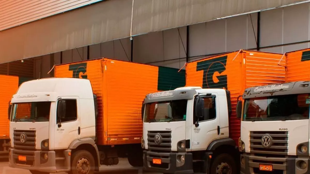 A foto mostra uma frota de caminhões da TG Transportes