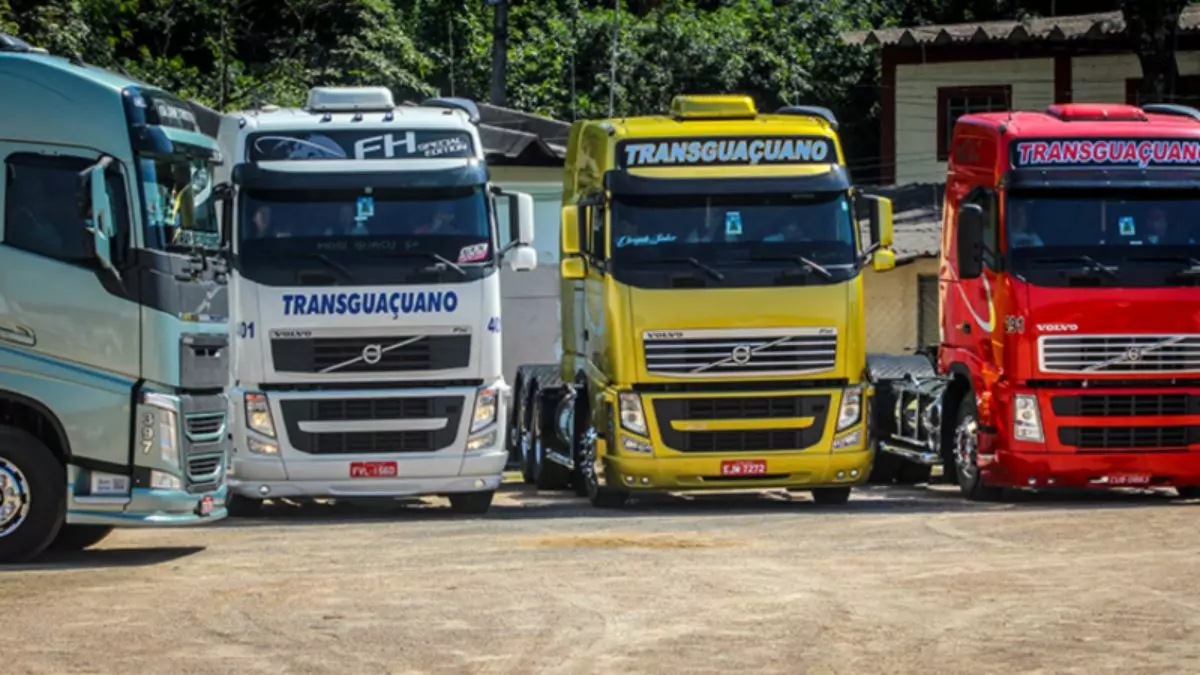 A foto mostra uma frota de caminhões da Transguaçuano