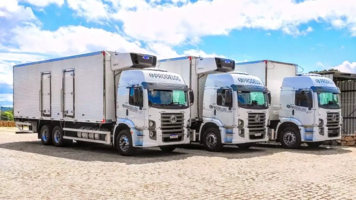 A foto mostra uma frota de truck da Prodelog