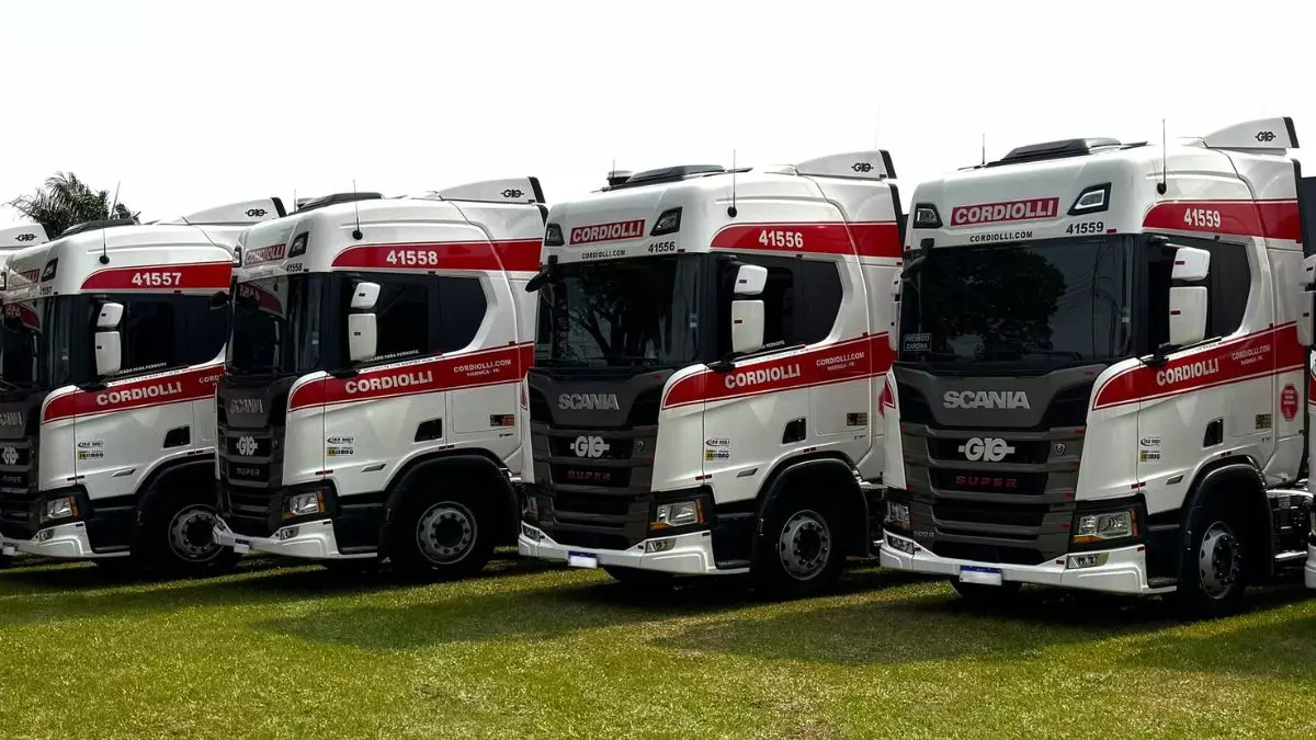 A foto mostra uma frota de caminhões da Cordiolli Transportes