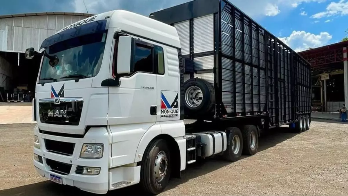 A foto mostra um caminhão boiadeiro da Transportes Monique