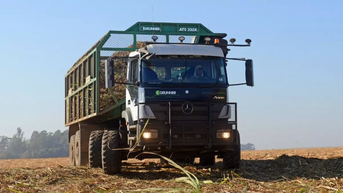 A foto mostra um caminhão da Delta Sucroenergia