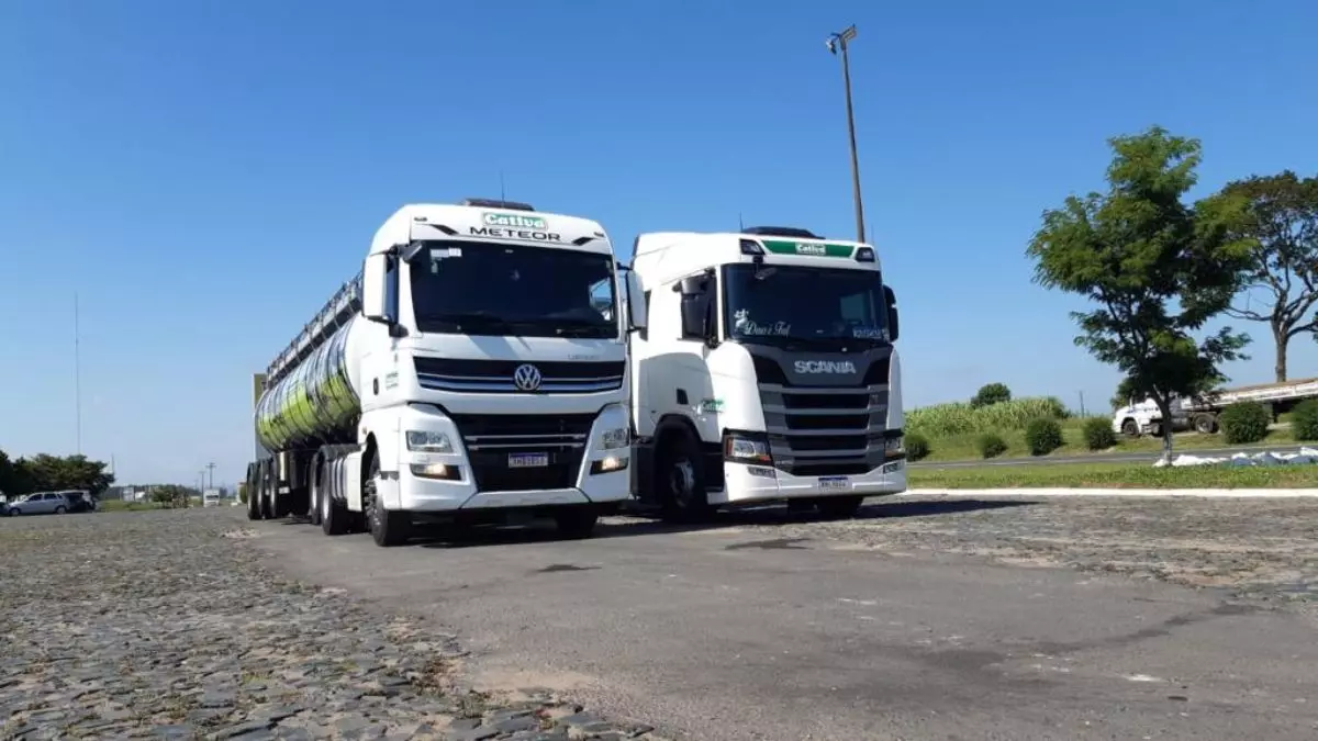 A foto mostra duas carretas da Transcativa