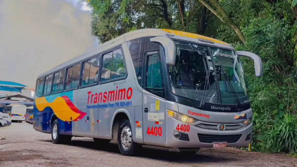 A foto mostra um ônibus da Transmimo