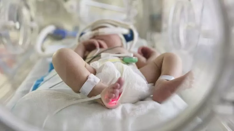 Unidade neonatal de Gaza alerta que bebês morrerão se energia acabar