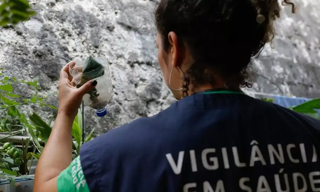 Vacina da dengue agrega outras estratégias de combate, diz ministério