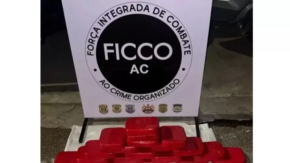 Força Integrada de Combate ao Crime apreende 20 kg de cocaína na BR 364