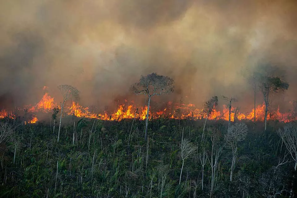 INPE aponta que Rondônia tem pior julho em quase duas décadas em decorrência das queimadas