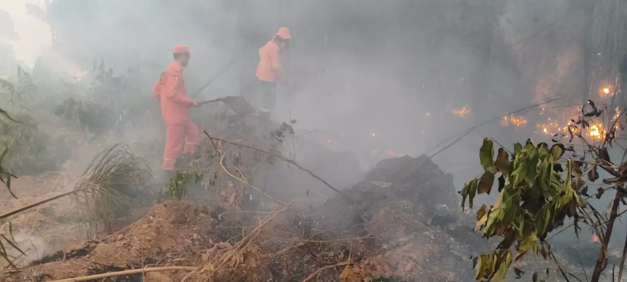 Corpo de Bombeiros Militar intensifica ações da Operação Verde Rondônia no combate aos incêndios no estado