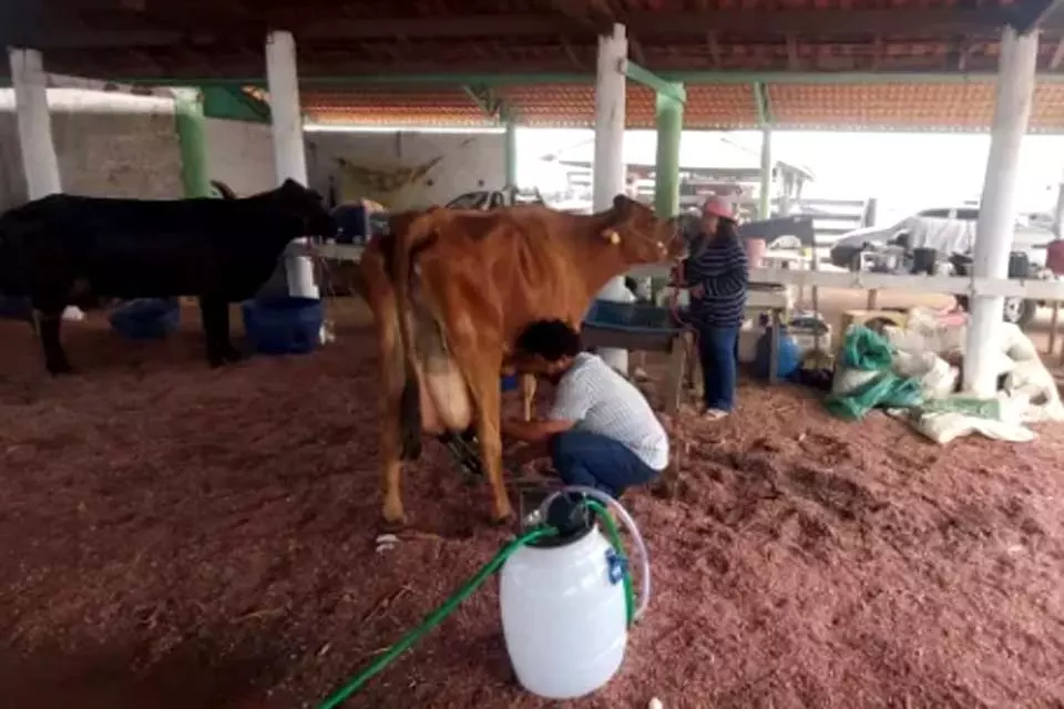 O Pacarana é Agro: Produtores de leite do Pacarana são destaques em evento da 39ª edição da Expopib