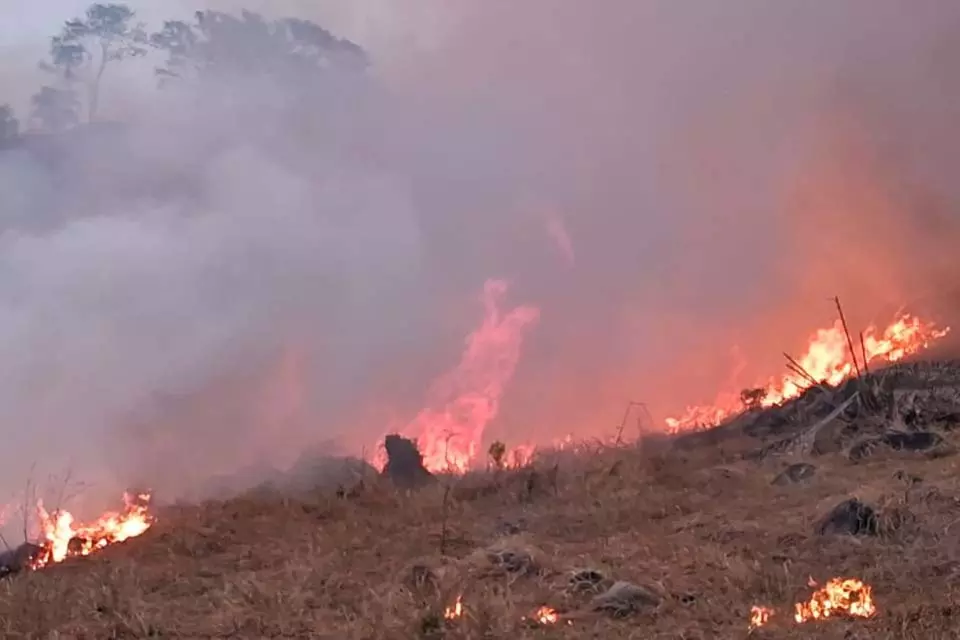 População pede socorro do Bombeiros para combater incêndio de grandes proporções em Colina Verde