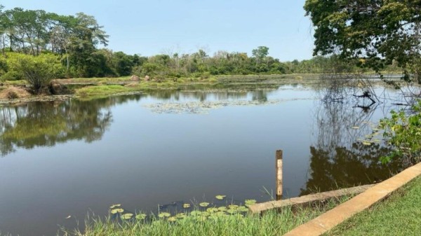 Águas de Alta Floresta alerta que rio Taxidermista baixa 70 centímetros em 20 dias