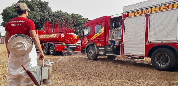 Corpo de Bombeiros alerta sobre ataques de abelhas no período de reprodução