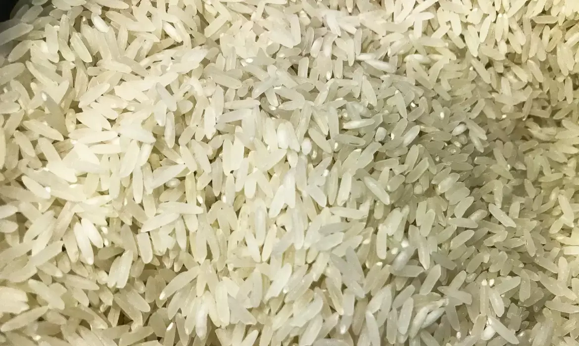 Federação das Associações dos produtores de arroz do RS garante que não vai faltar produto no mercado