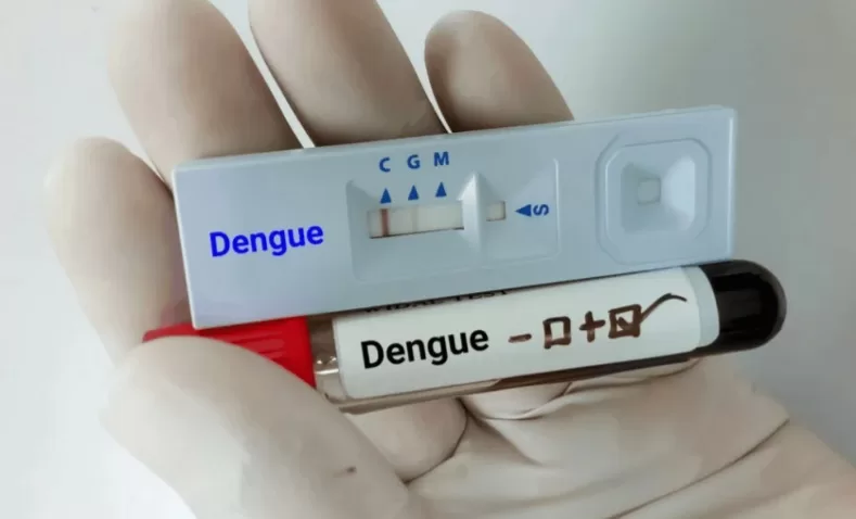 Testes rápidos para diagnóstico de dengue serão distribuídos em Minas Gerais