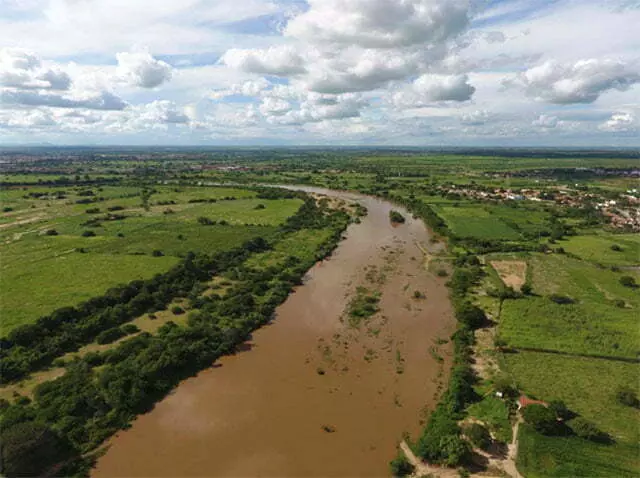 Rio Jaguaribe receberá projeto de reflorestamento