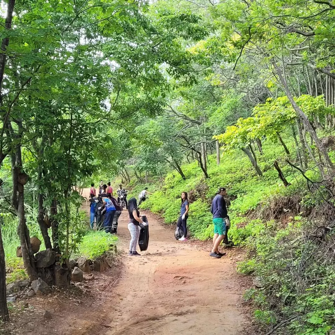 Complexo Ambiental Caminhos do Horto promove Oficina de Bombas de Sementes em alusão ao mês do meio ambiente