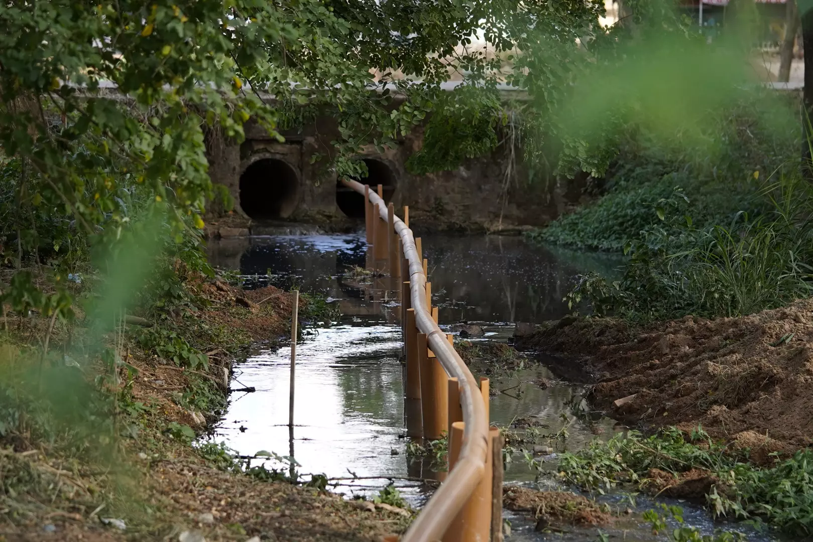 Crime Ambiental: Área desmatada no entorno da ExpoCrato com finalidade de uso para estacionamento é investigada pelo MP