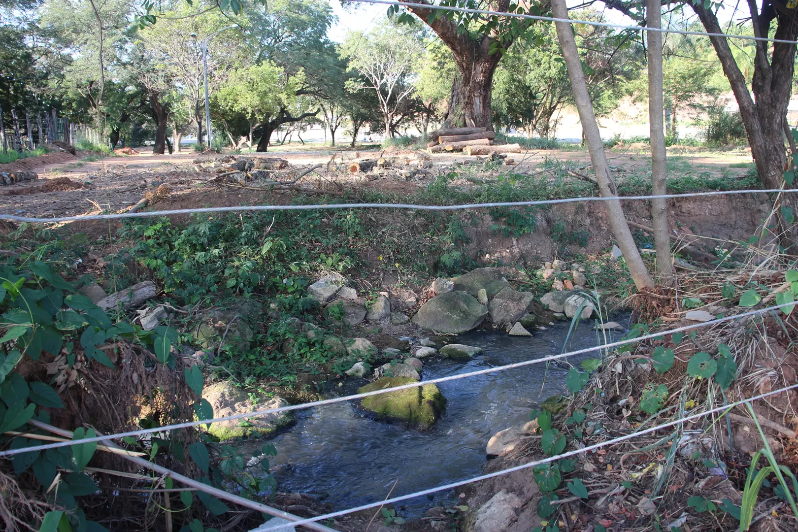 Crime Ambiental:  Área de preservação desmatada dentro do Parque da Expocrato para estacionamento é investigada pelo Ministério Público.