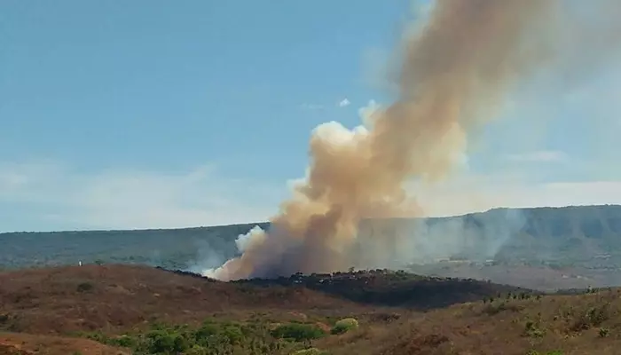 MP do Ceará abre investigação para apurar causas de incêndio na Chapada do Araripe