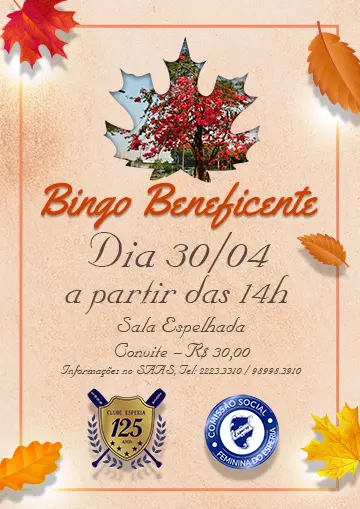 Bingo Beneficente