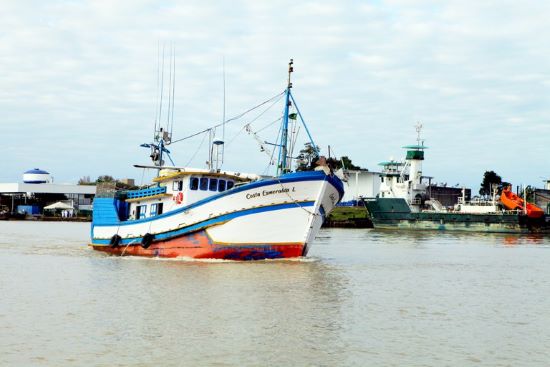 OPORTUNIDADE - Abertas inscrições para bolsistas em projeto de conservação de pescado em baixa temperatura