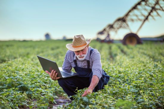 OPINIÃO - Dia do agricultor: conectividade rural é a transformação rumo ao futuro