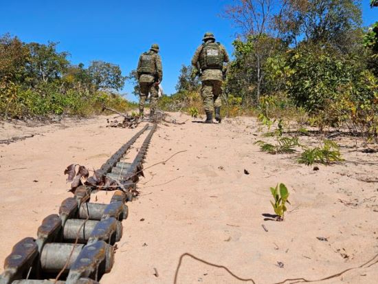 CERRADO BAIANO - Bahia reduz desmatamento em mais de 50% com operações estratégicas