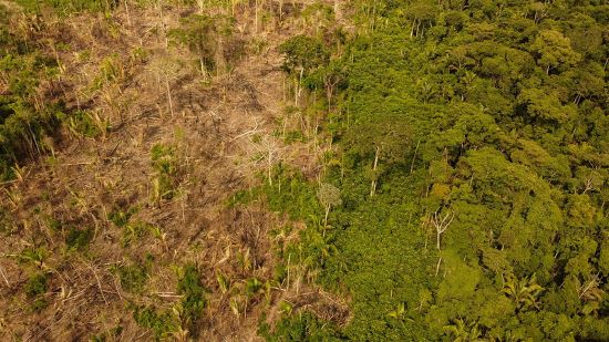 ALERTA -  Medições globais subestimam avanço da crise climática