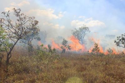 PREVENÇÃO RURAL -  Curso de combate a incêndios florestais com máquinas agrícolas