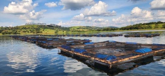 CESSÃO DE ÁGUAS - Regularização da aquicultura: MPA publica 26 novos contratos