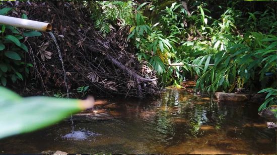 RESPONSABILIDADE AMBIENTAL - Iniciativa da Aiba promove preservação hídrica no Cerrado baiano