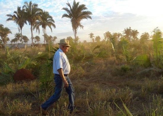 ESPECIAL - A revolução verde de seu Zé Neto: preservação e inovação no Tocantins