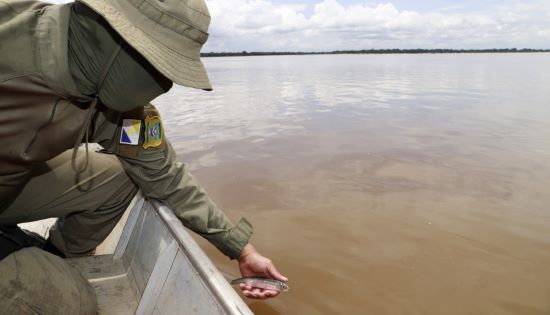 PIRACEMA – Período de proibição da pesca no Tocantins já está valendo desde 1º deste mês