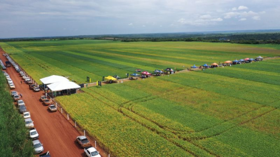 DIA DE CAMPO – Coapa e parceiros organizam nova Jornada Tecnológica para janeiro de 2025